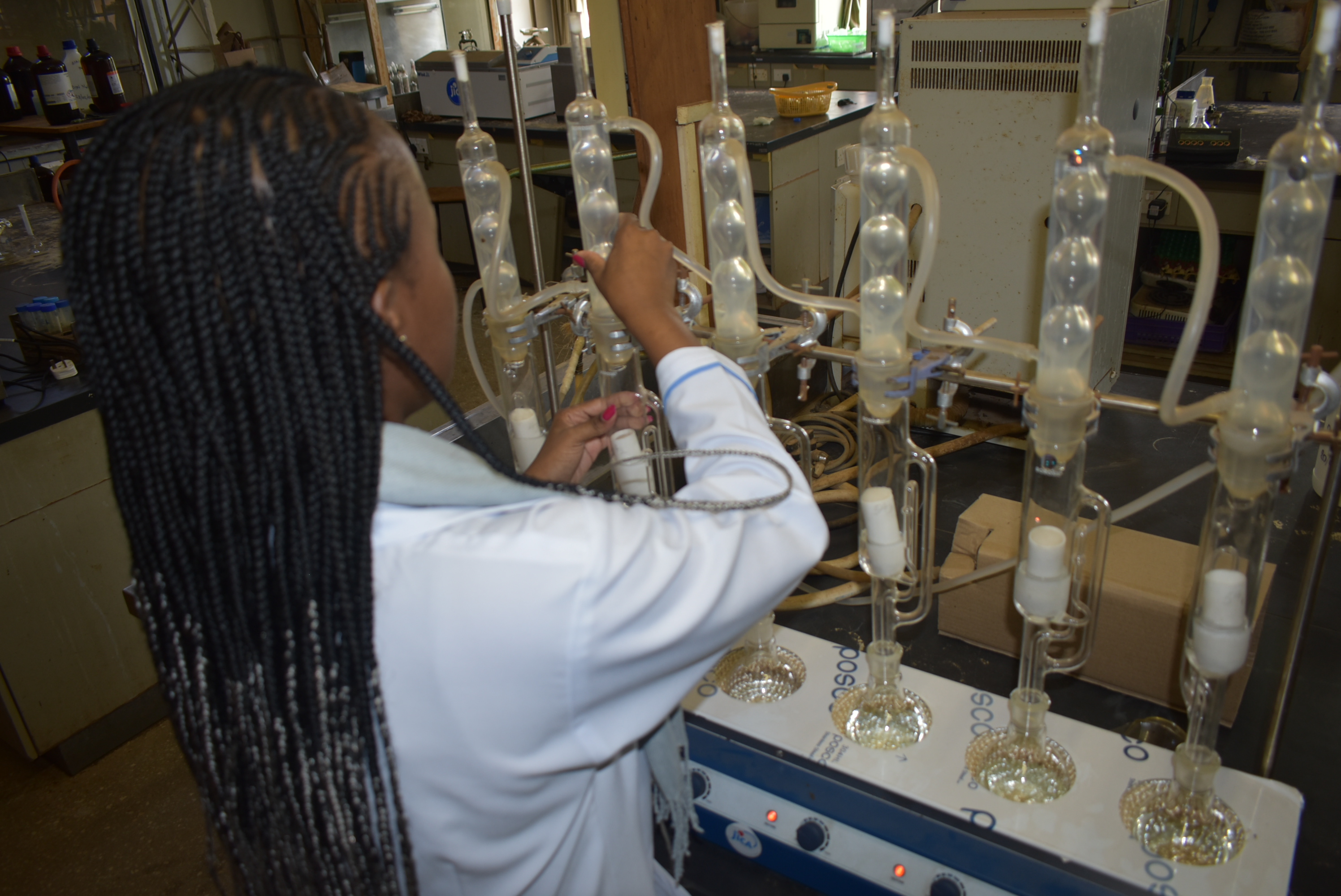 Structure and content 2