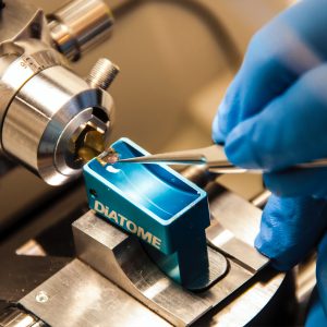 national-cancer-institute-K8AzGcMJbLI-unsplash JKUAT to offer Biomedical Engineering Course