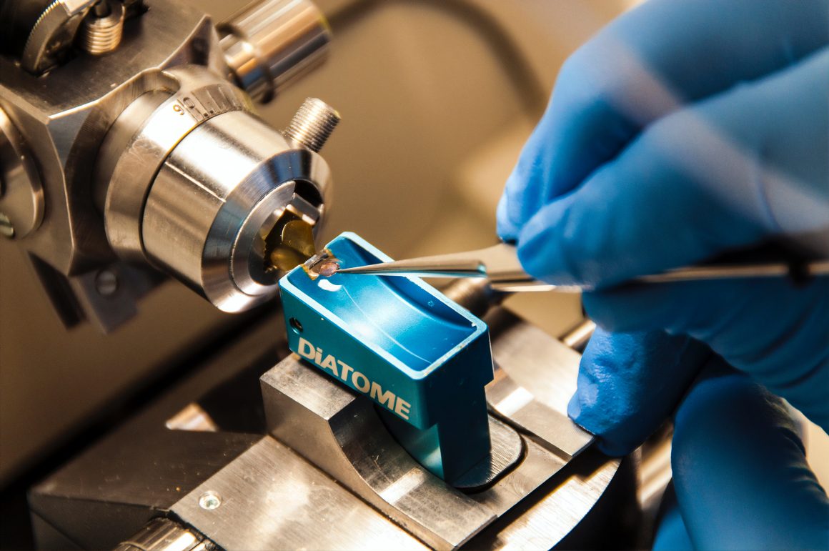 national-cancer-institute-K8AzGcMJbLI-unsplash JKUAT to offer Biomedical Engineering Course